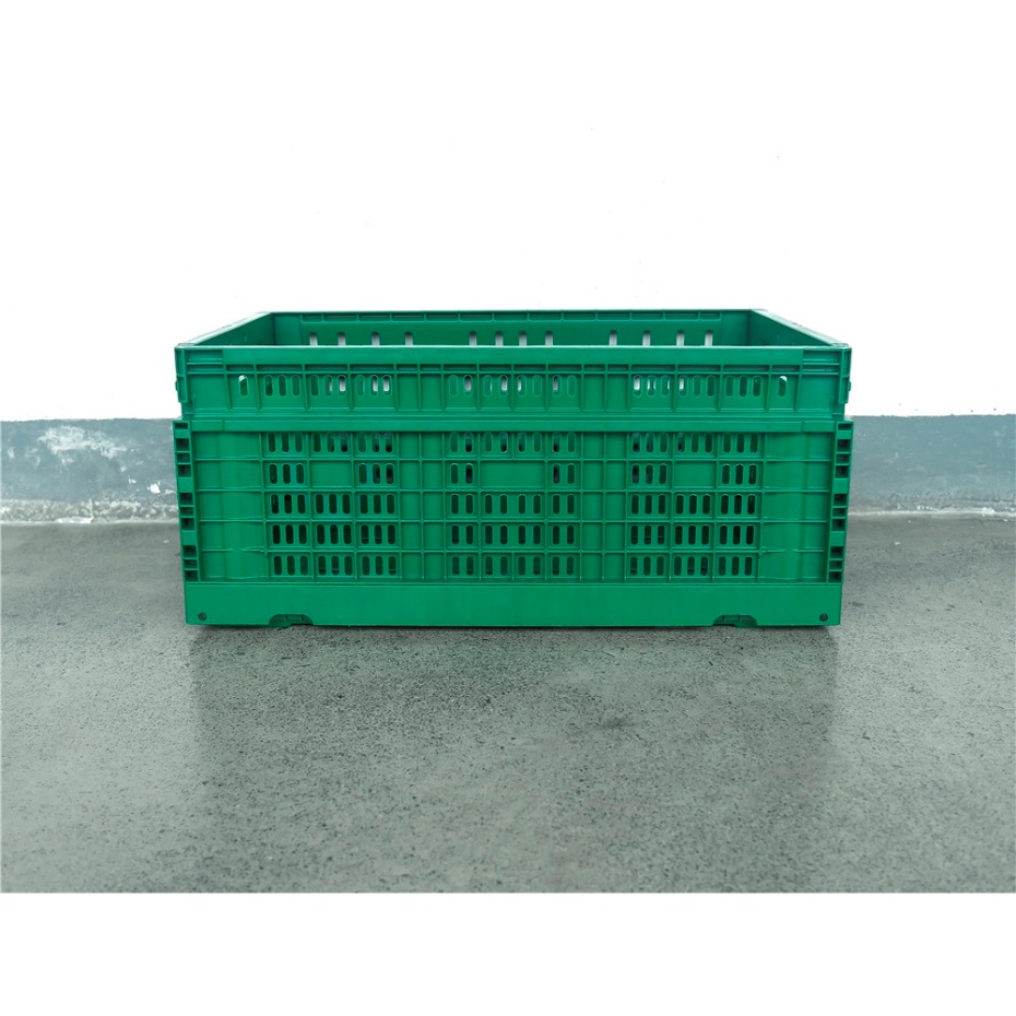 QUANYUN Designed for Fruit Vegetable Storage Basket TY604025W-S